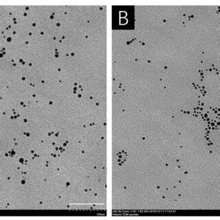 Size Distribution Of Agnps In Distilled Water A And Hoaglands