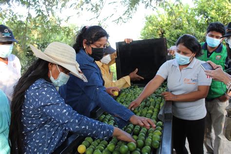 Ella Alimenta Al Mundo Más De 1500 Agricultoras De Ica Piura Y Lima