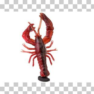 Golf Lobster Crayfish Png Clipart Clip Art Crayfish Golf Lobster