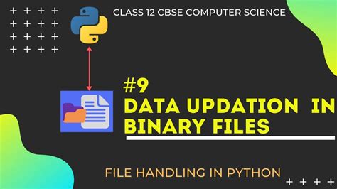 Data Updation In Binary Files In Python File Handling Class