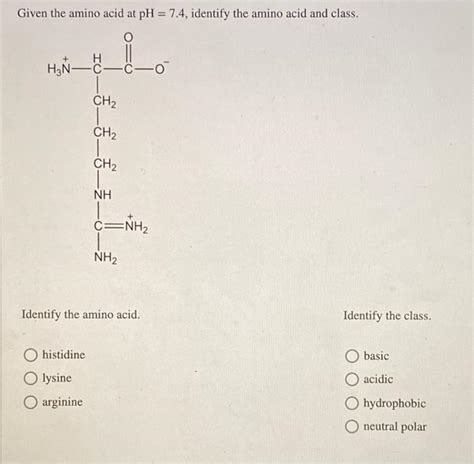 Solved Given The Amino Acid At Ph Identify The Amino Chegg