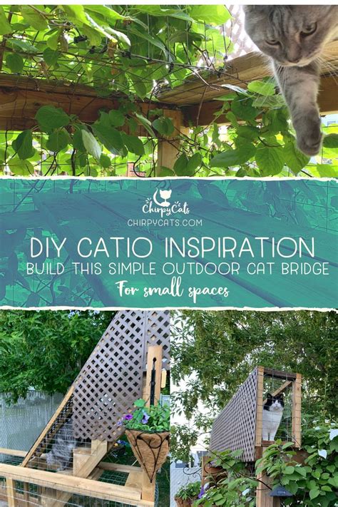 20+ Diy Cat Tunnel Outdoor – The Urban Decor