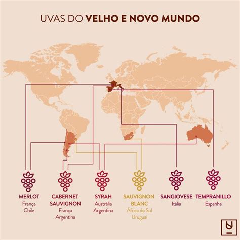 Uvas Do Velho E Novo Mundo Em 2020 Uvas Vinhos Novo Mundo