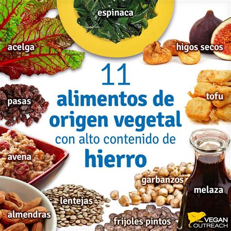 Hierro Vegan Outreach