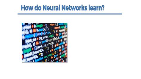 SOLUTION: How do neural networks learn - Studypool