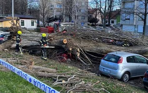 Olujno nevrijeme pravi probleme u Hrvatskoj Vjetar čupao stabla