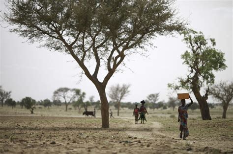 La Crise Alimentaire En Afrique De L Ouest Est Pire Que Jamais L ONG