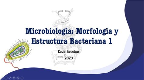 Morfología Y Estructura Bacteriana 1 Youtube