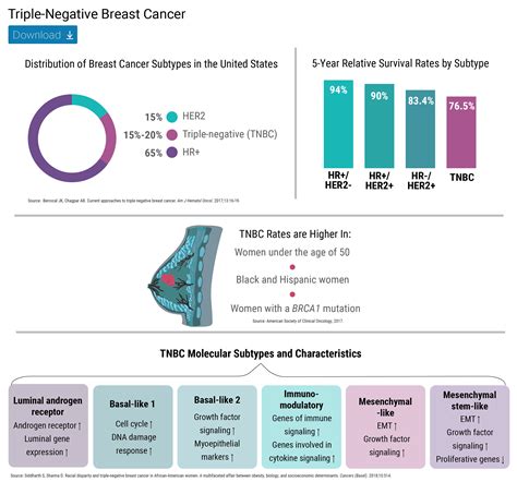 Triple Negative Breast Cancer Treatment 2024 Vina Aloisia