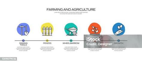 Modèle Infographie Sur Les Processus Liés À Lagriculture Et À