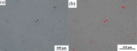 A Porosity Of Ni Based Alloy Coating And B Porosity Calculated