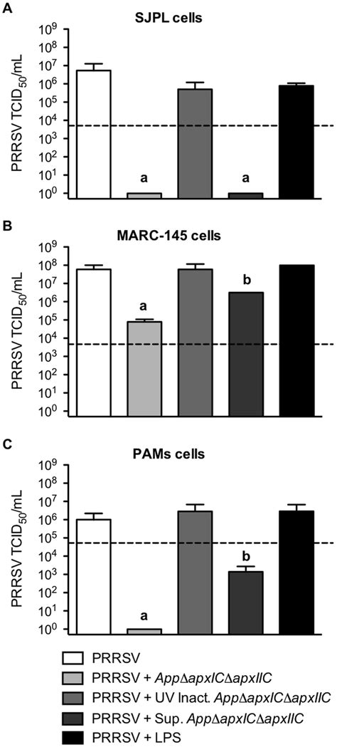 Prrsv Titer In App Treated Sjpl Marc And Pam Cells Sjpl A