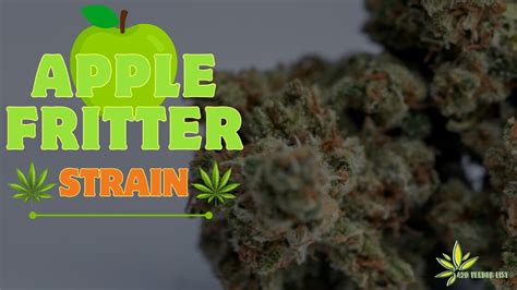 Grandmas Approved Apple Fritter Strain Ultimate Strain Review