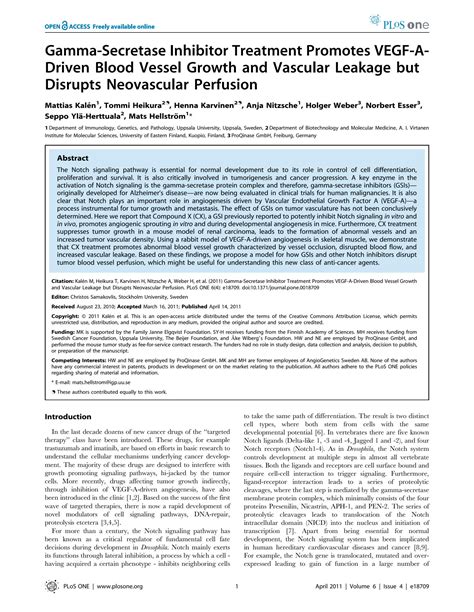 Solution Gamma Secretase Inhibitor Treatment Promotes Vegf A Driven