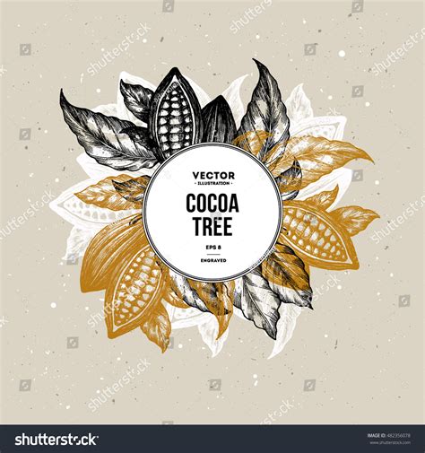 Cocoa Bean Tree Design Template Engraved Stock Vector (Royalty Free ...