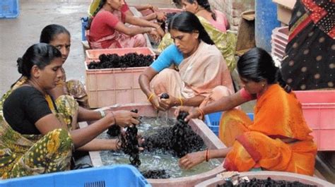 Tirupati Devotees Hair Auction Earns Crores!