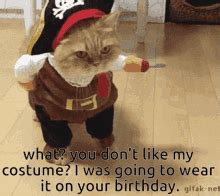 Pirate Aye Aye Captain GIF - Pirate Aye Aye Captain Captain - Discover & Share GIFs