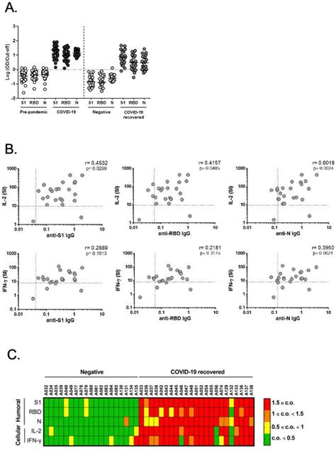 IL 2 and IFN γ are biomarkers of SARS CoV 2 specific cellular response