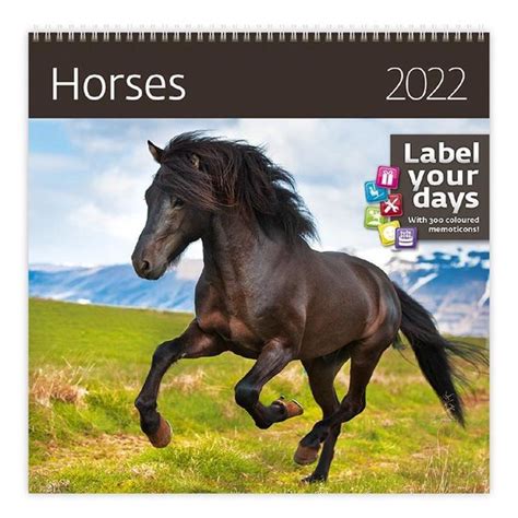 Helma Ca Kalender X Cm Paarden Bol