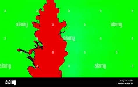 stock vector images alamy