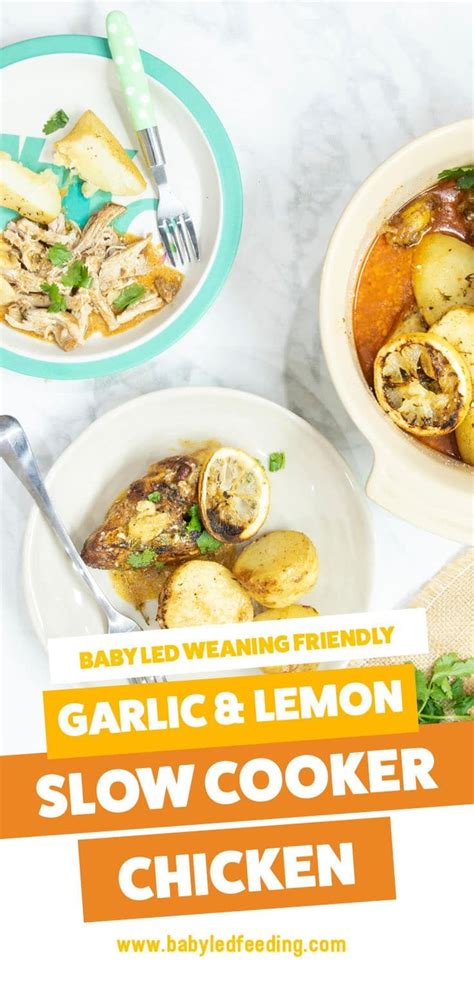 Baby Led Weaning Slow Cooker Chicken With Lemon Garlic Artofit