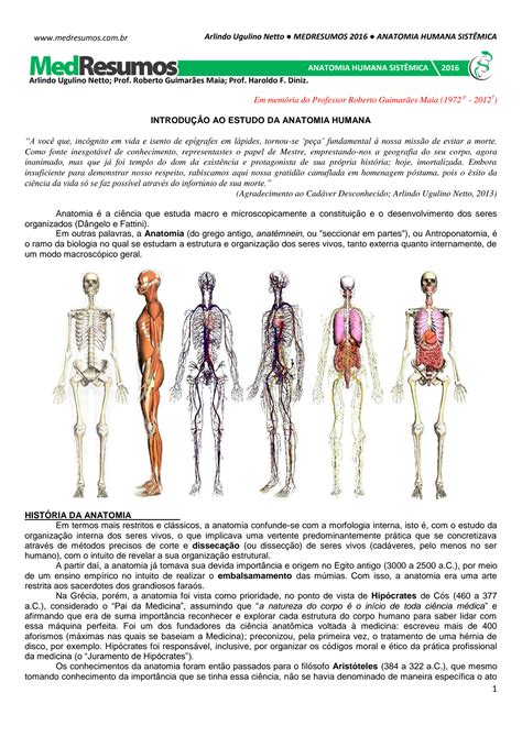 SOLUTION Anatomia Humana Sist Mica 01 Introdu O Studypool