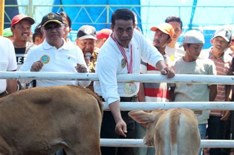 Mentan Tahun Lagi Indonesia Jadi Lumbung Pangan