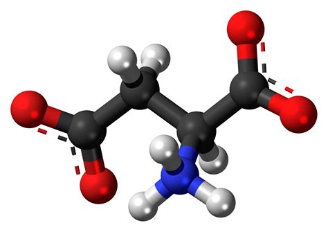 L-Aspartic Acid – NutraWiki