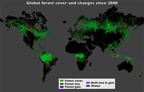 Landsat Data Yield Best View To Date Of Global Forest Losses Gains