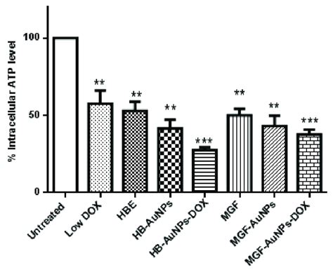 Effect Of Treatments On Intracellular ATP Levels In Caco 2 Cells Cells