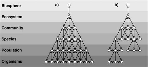 Schematic Representation Of A Hierarchical System With A Fully Or