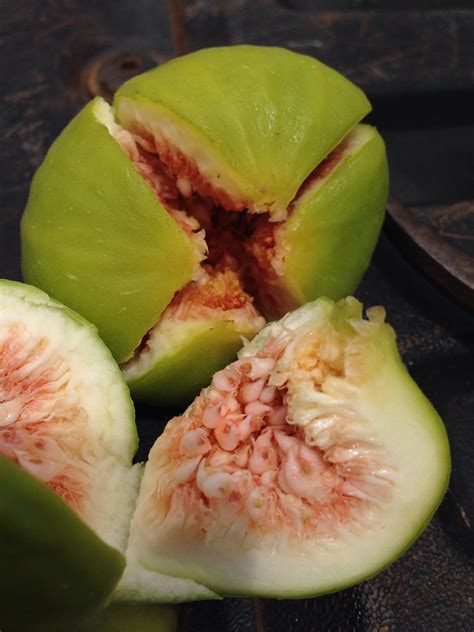 Insides Fruit Honeydew Food