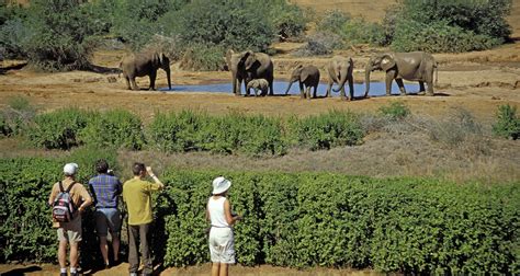 A Closer Look At The Richness Of South Africas Biodive