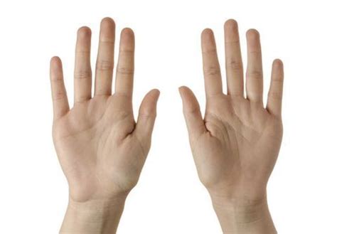 Ways To Touch A Vagina For Maximum Pleasure Artofit