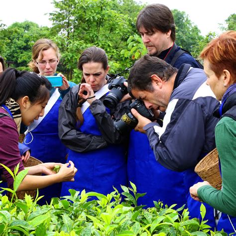 Ita Tea Sommelier Certification School In Puer Yunnan Finishes With S