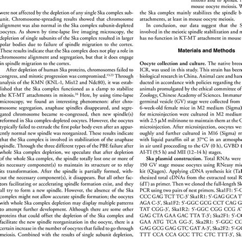 Results Of Time Lapse Live Imaging Analysis Of Control Oocytes