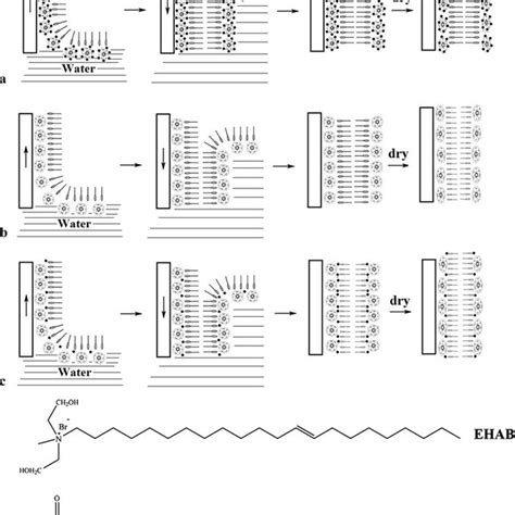 A Schematic Preparation Of Pda Ag Nanocomposite Vesicles Lb Films Of A