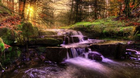 Free No Copyright Nature Waterfall Creek Sunrays Butterflies Relaxing