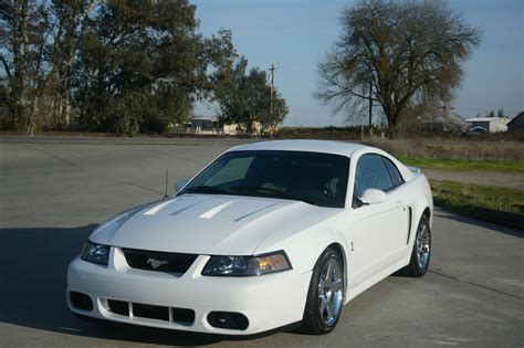 Built 2003 Ford Mustang SVT Cobra Has 650 Horsepower At The Wheels