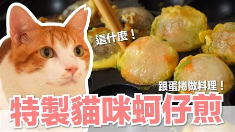 【好味小姐】特製貓咪蚵仔煎～跟蛋捲做料理！｜貓副食｜貓鮮食廚房ep201 Youtube