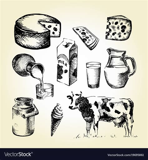 Milk Draw Royalty Free Vector Image Vectorstock