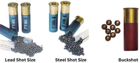 Different Types Shotgun Shells 12 Gauge Selling | nationaldefensepac.org