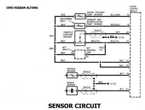 Nissan Esquemas Diagramas Graphics