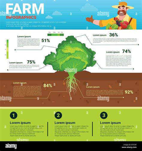 Infografía de agricultura orgánica Ecológica vegetal natural de