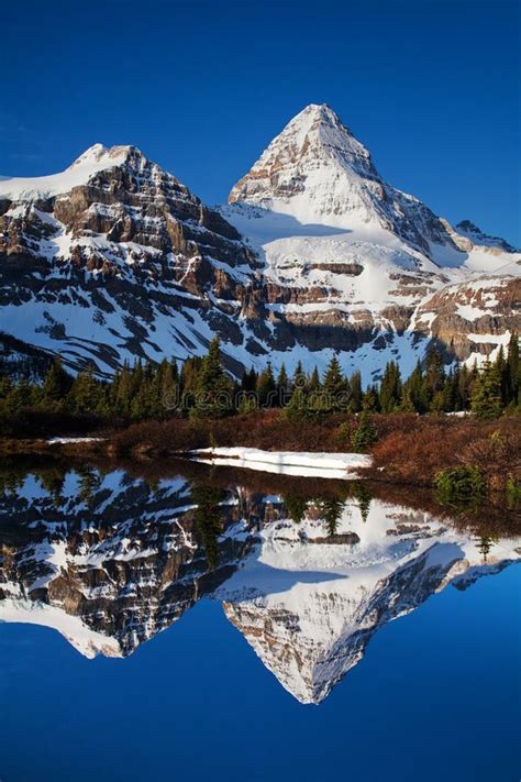 Mount Assiniboine stock photo. Image of canadian, nature - 134180728