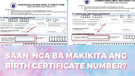 Saan Makikita Ang Psa Birth Certificate Number Where Is Birth Certificate Number Located