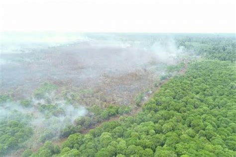 Sempat Muncul Puluhan Titik Panas Sore Ini Riau Tersisa 5 Hotspot Riau24