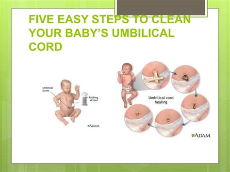 Digital story on cleaning the baby's umbilical cord | PPT | Free Download