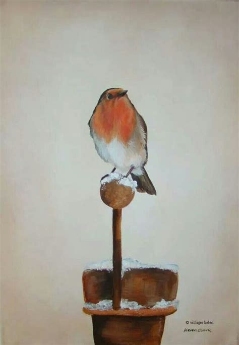 Helen Clark Animal Paintings, Illustration Art, Illustrations, Bird Art ...