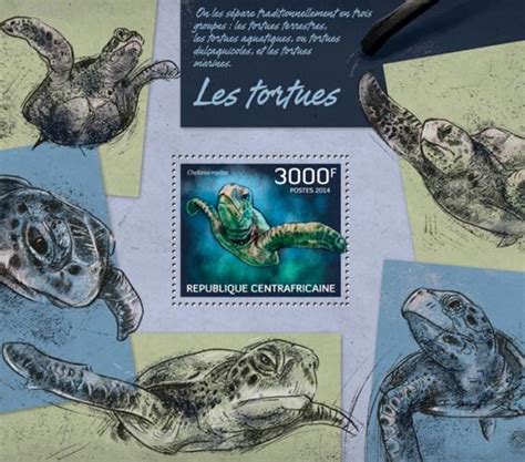 Centrafricaine Sheet Turtles Marine Life Reptiles Hipstamp